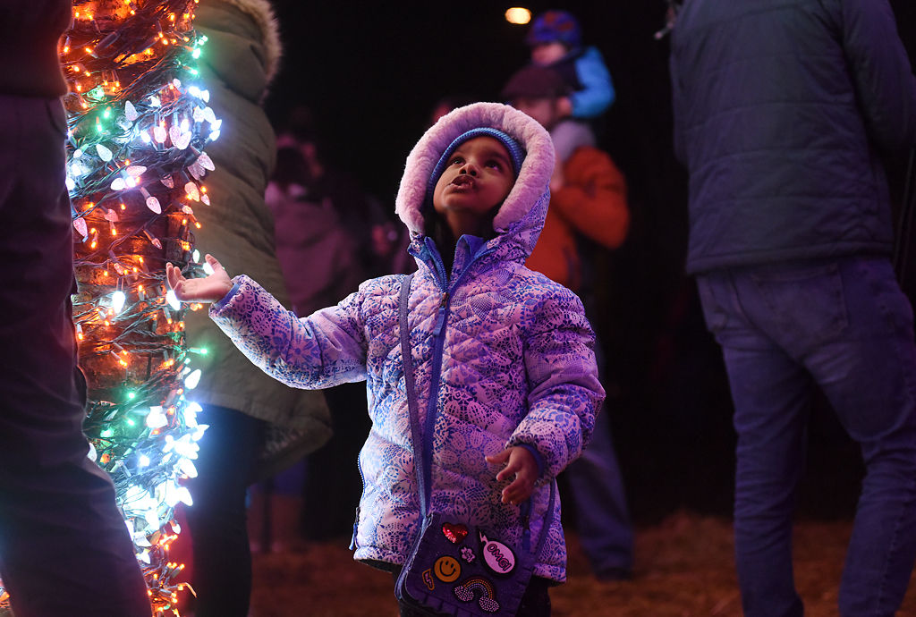 Abigail Charles, 4, examines the Magic Tree